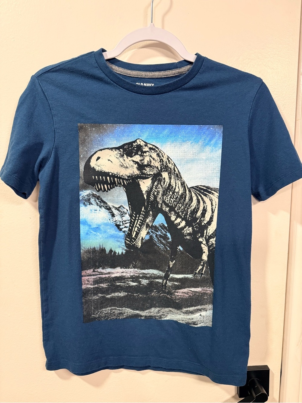 Old Navy Blue Boys' T-Shirt with T-Rex Mountain Graphic